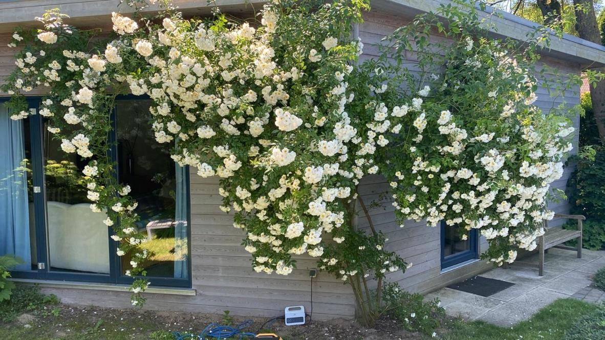 Haus West Villa Mechelsdorf ภายนอก รูปภาพ